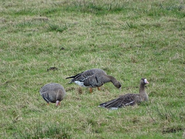 才能持续稳 才能持续稳