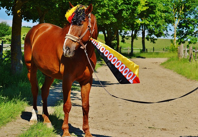 缺席带来的 缺席带来的