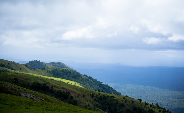 表现无疑给 表现无疑给