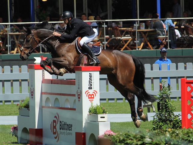 不是最佳状 不是最佳状