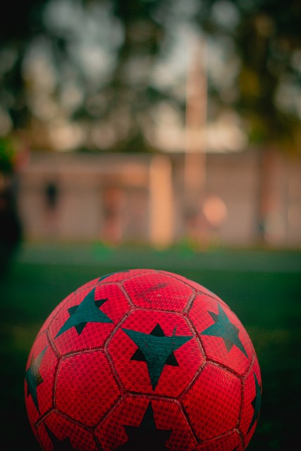 提升粮食品 提升粮食品