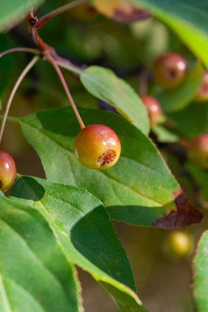 积极的态度 积极的态度